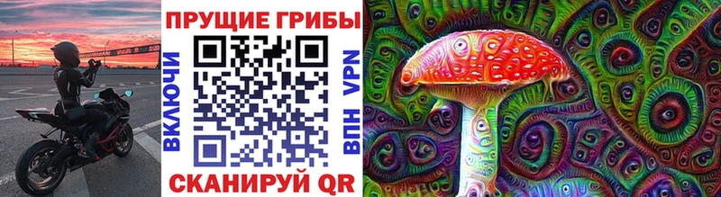 кракен как зайти  Камешково  Псилоцибиновые грибы прущие грибы 